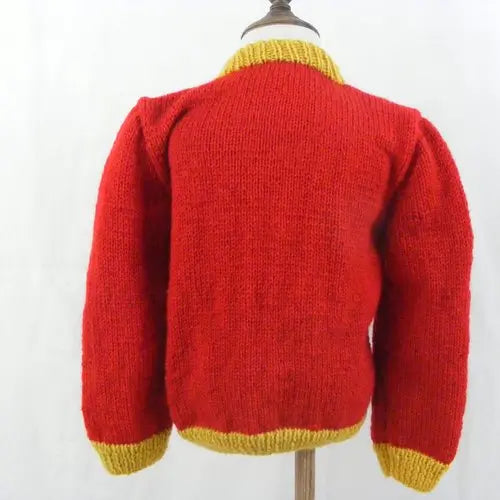 Pull de couleur rouge Le Roi Lion - 4 ans
