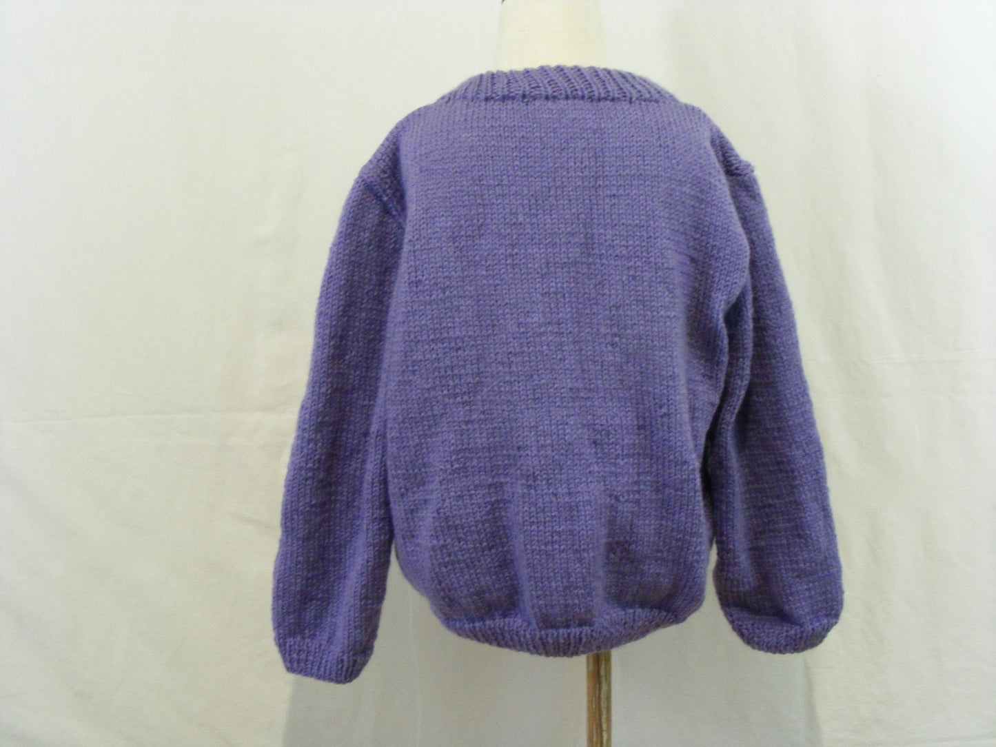 Pull violet avec un dinosaure - 6 ans