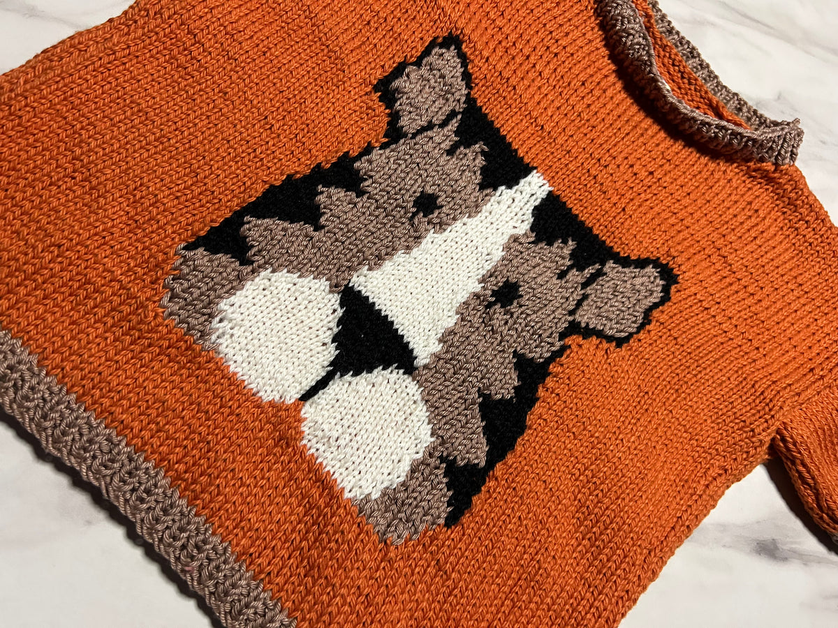 T-shirt orange à motif tigre – 4 ans