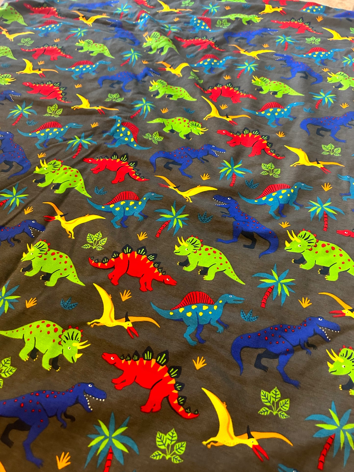 Couverture dinosaure - 50 x 66 cm