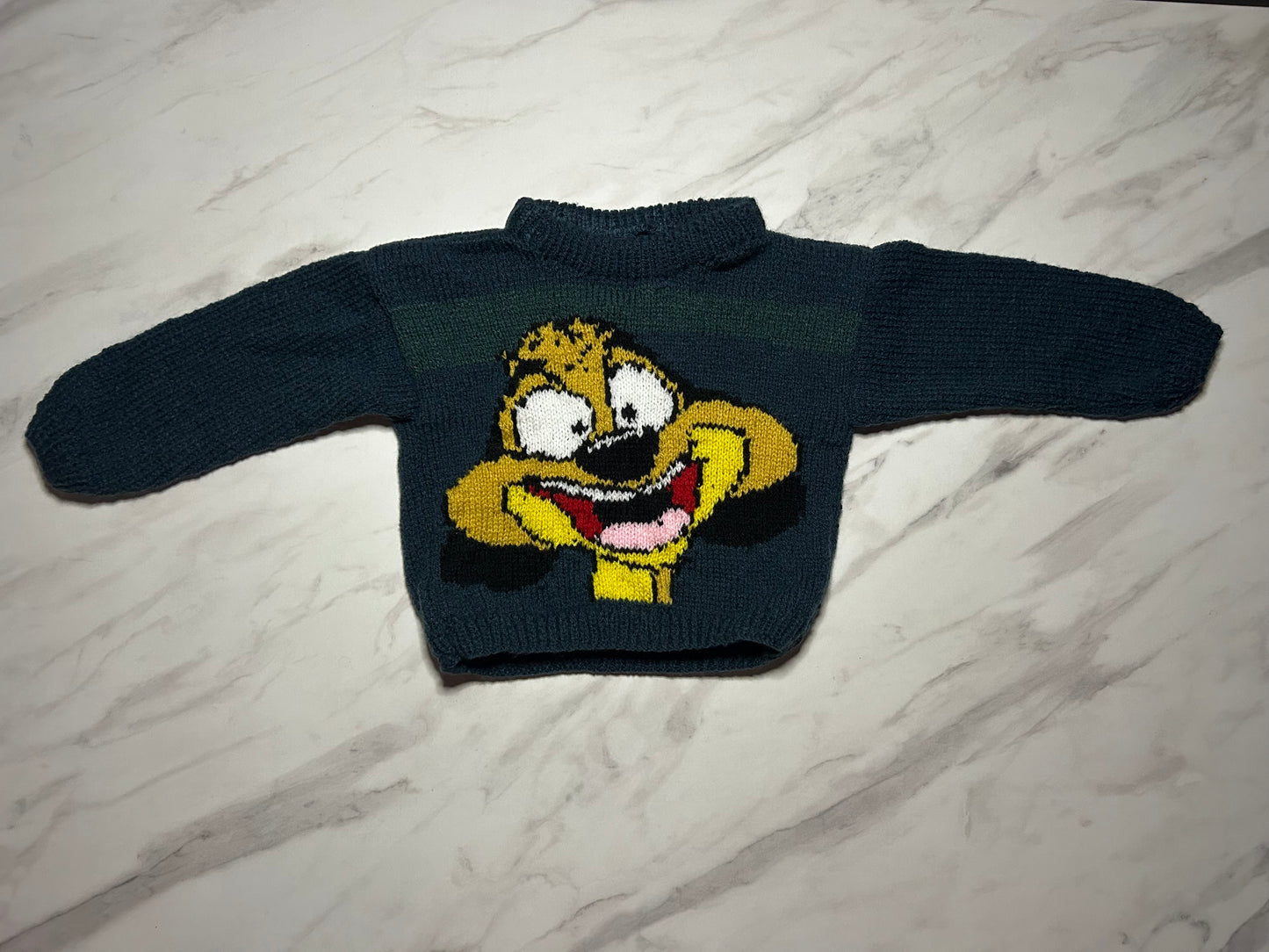 Pull Le Petit Rigolo- 3 ans